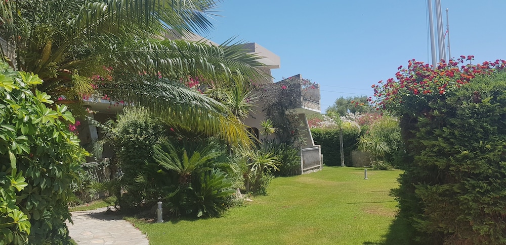 Palm Village 52/69