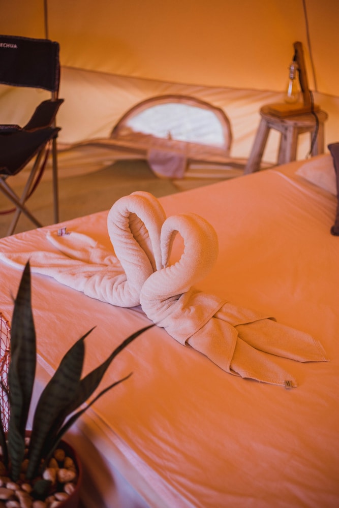 Roost Glamping 19/49