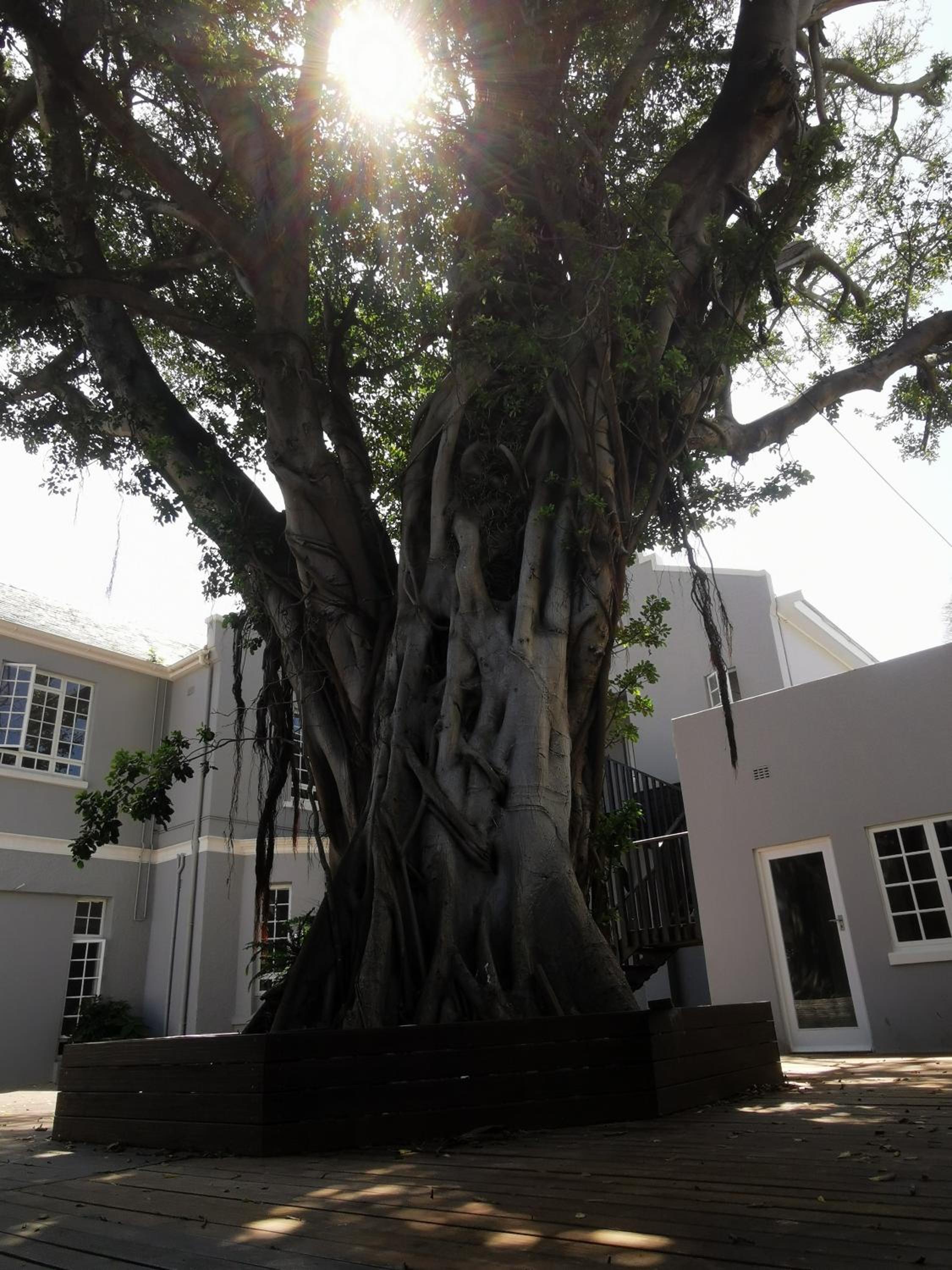 Dawson Manor Guest House 7/8