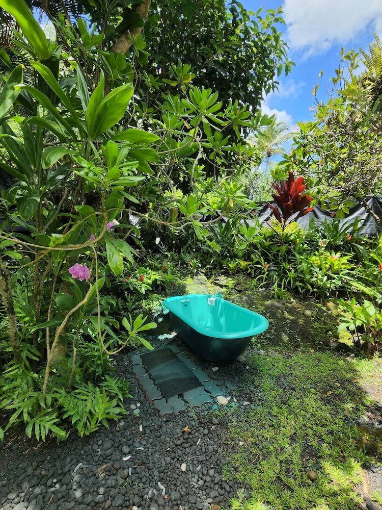Ma'ukele Lodge 44/50