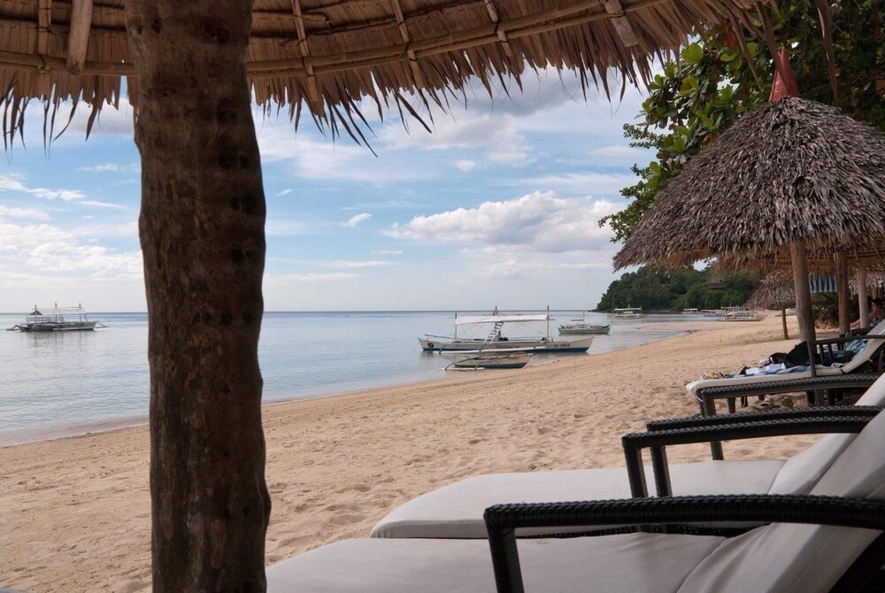 Easy Diving And Beach Resort 40/60