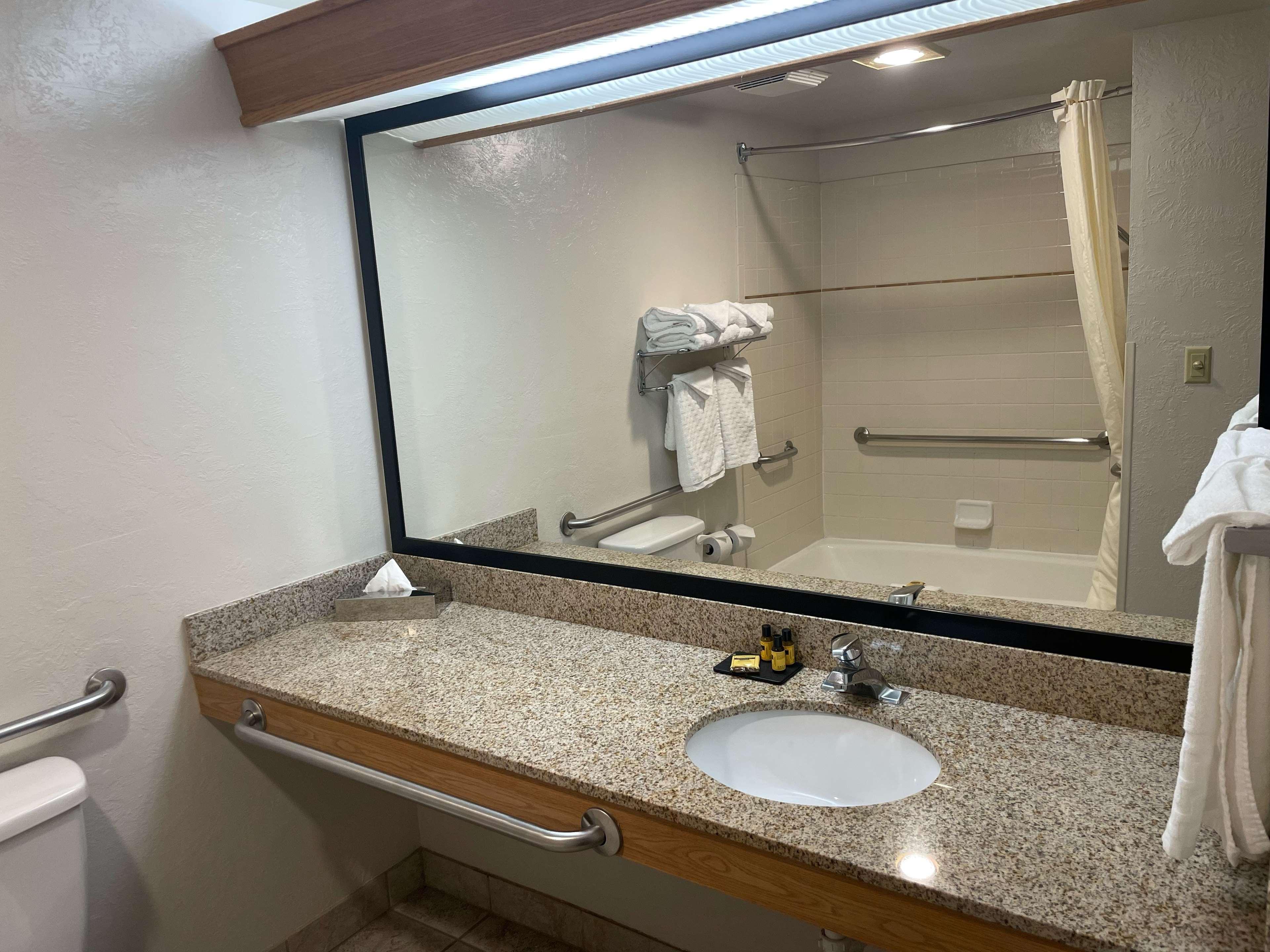 Suite, King Bed