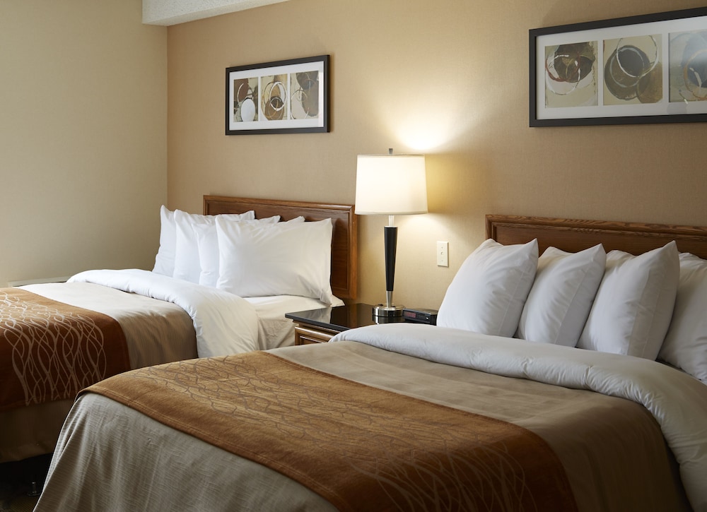 Comfort Inn Riviere-Du-Loup 31/50