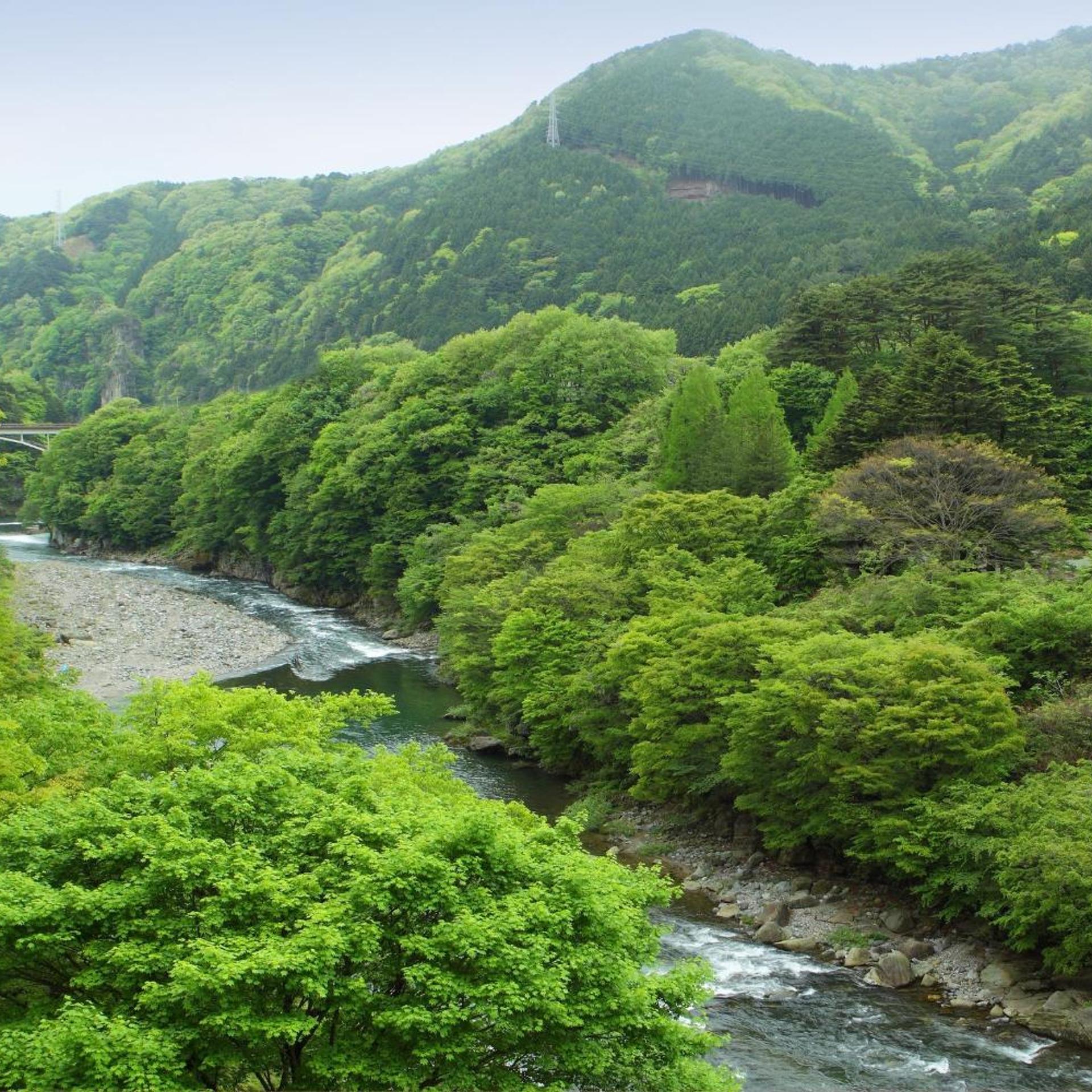 Tanigawa Hotel Nanaeyae 48/49