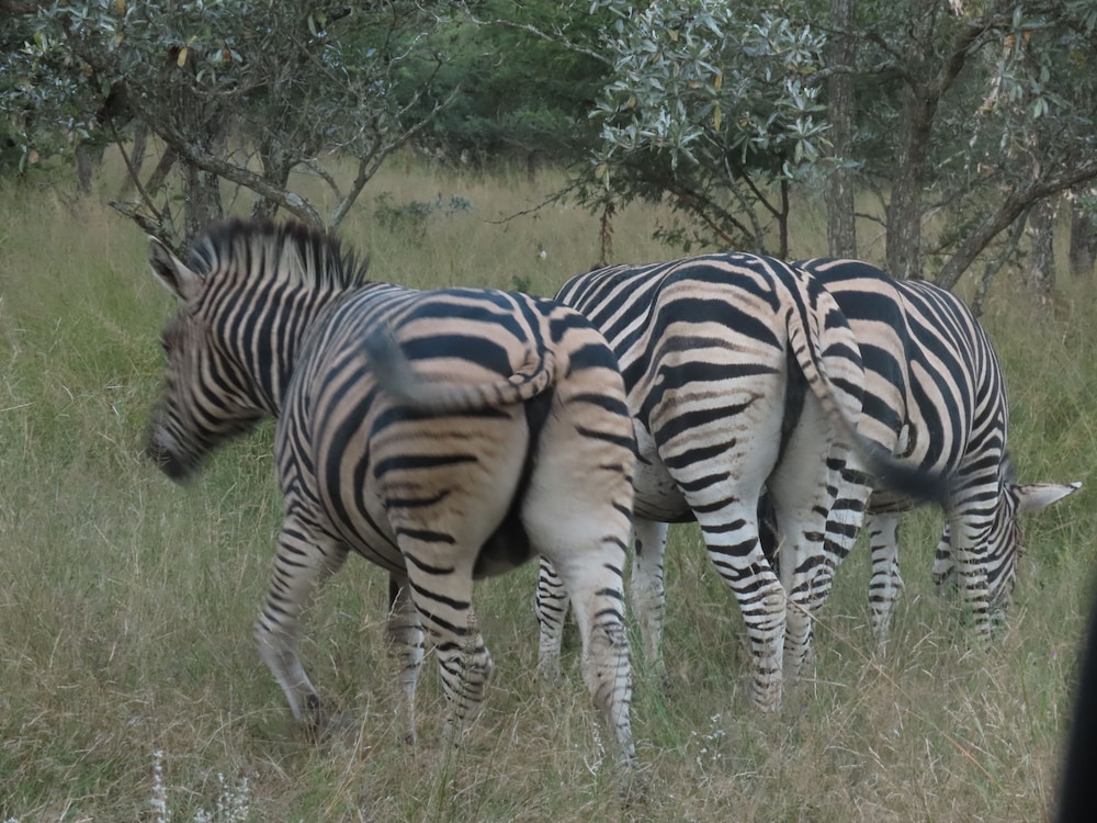 Sunset Game Lodge 20/46
