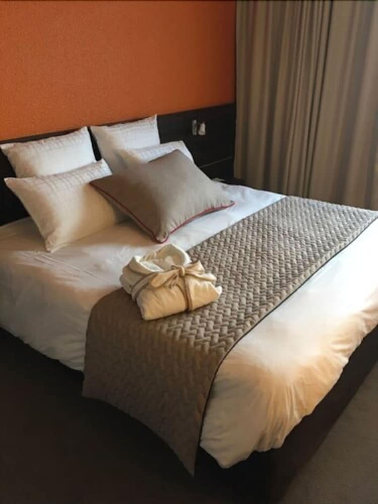 Hotel Alexander Park Chambery 13/43