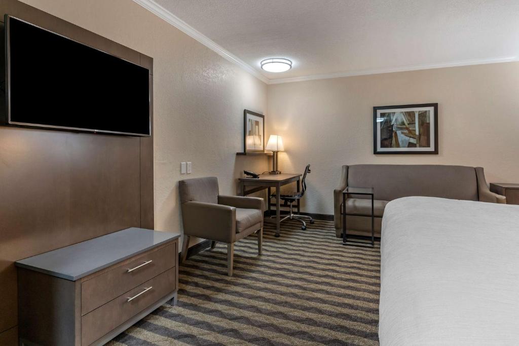 1 Bedroom, Suite, King Bed, Sofa, Living Area