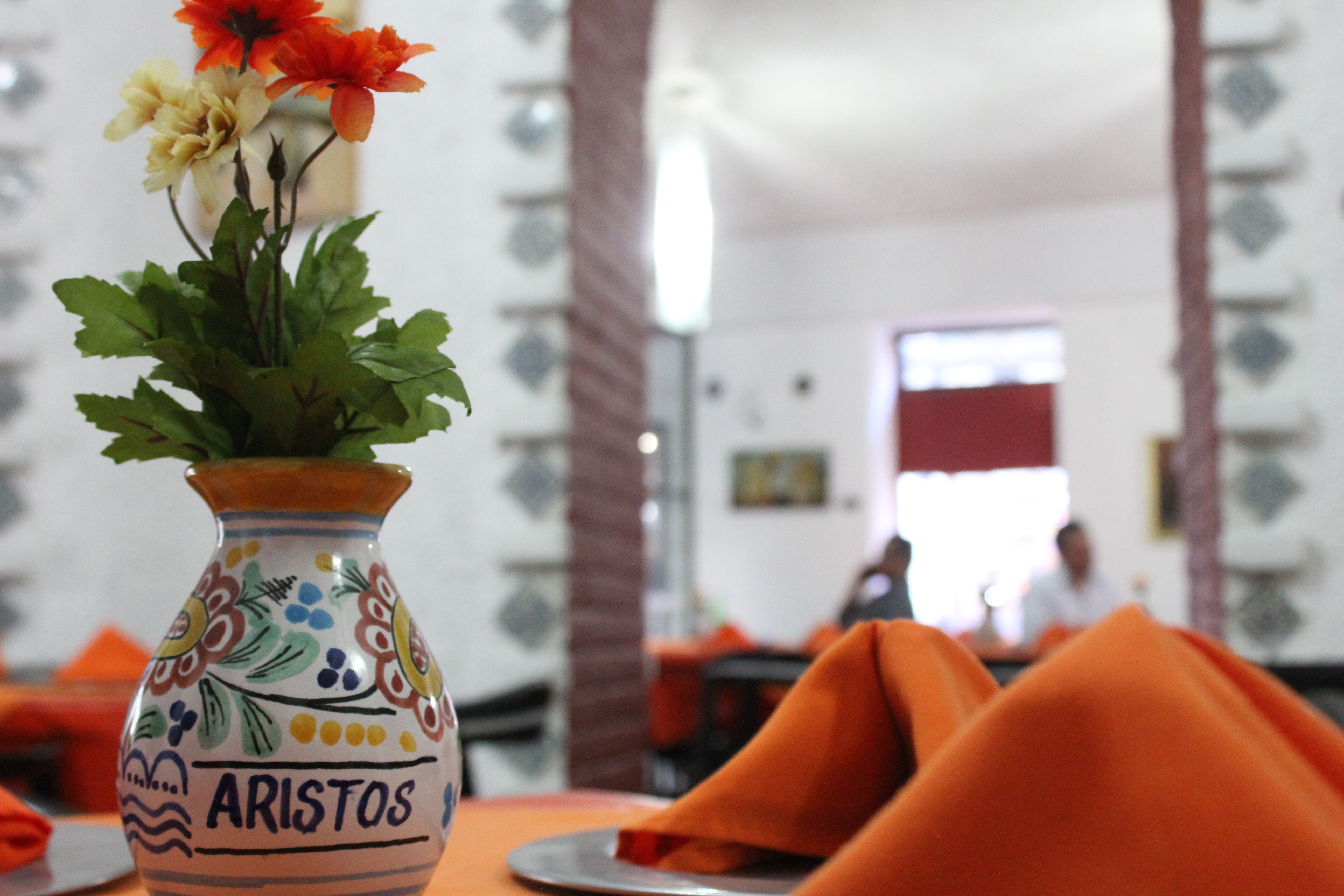 Aristos Puebla 42/55