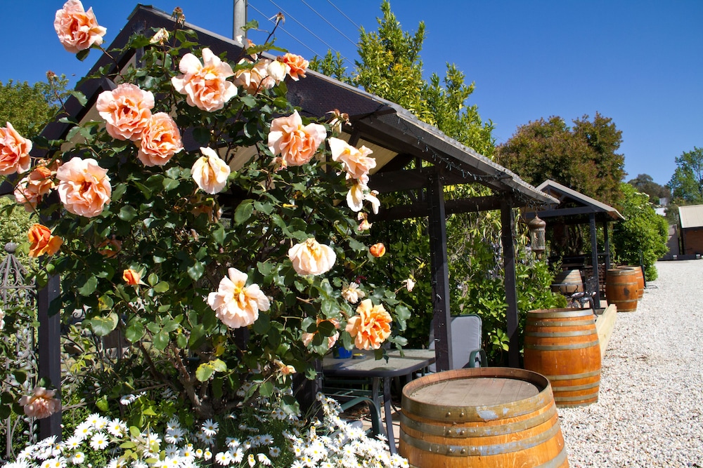 BEECHWORTH ON BRIDGE 13/57