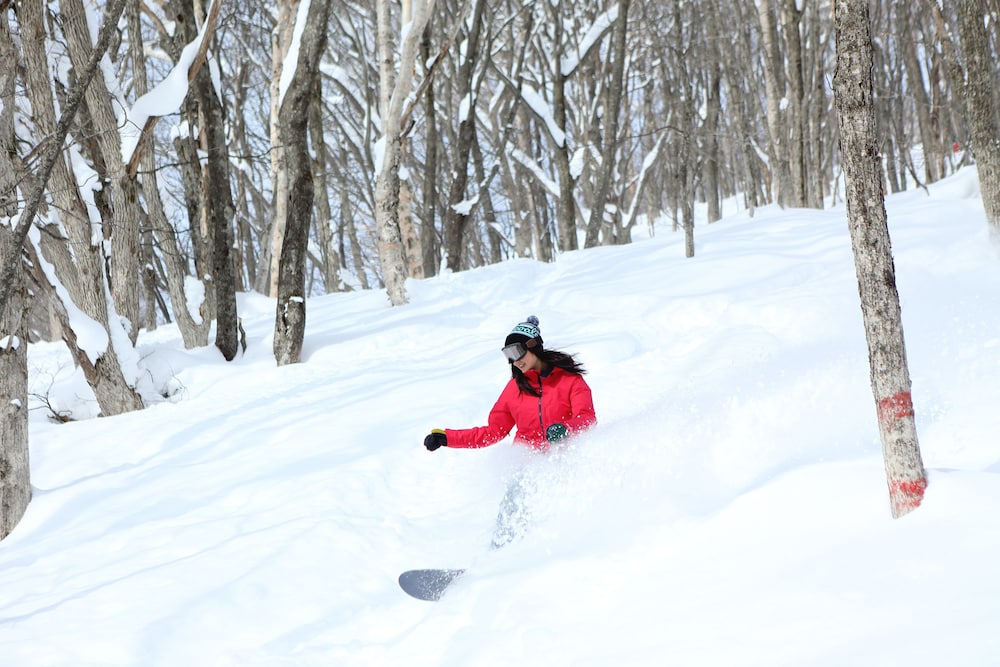 Hachimantai Mountain Hotel 37/69