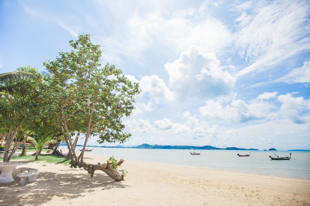 Blue Beach Grand Resort and Spa 44/48