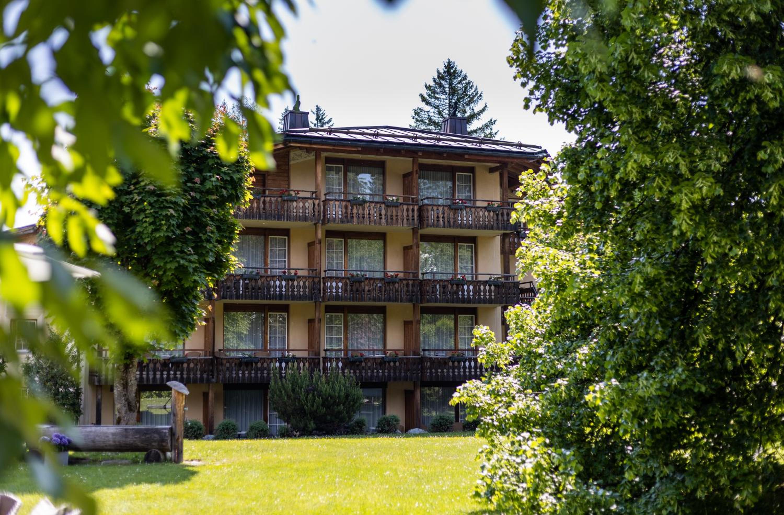 Soldanella by Hotel Adula 5/48