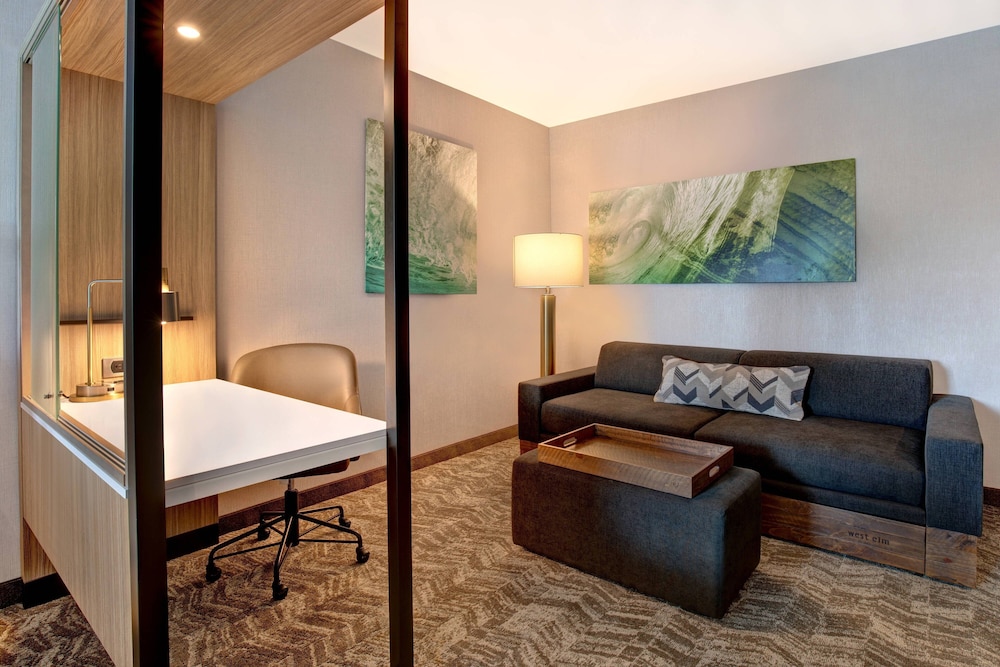 SpringHill Suites by Marriott Orangeburg 33/52