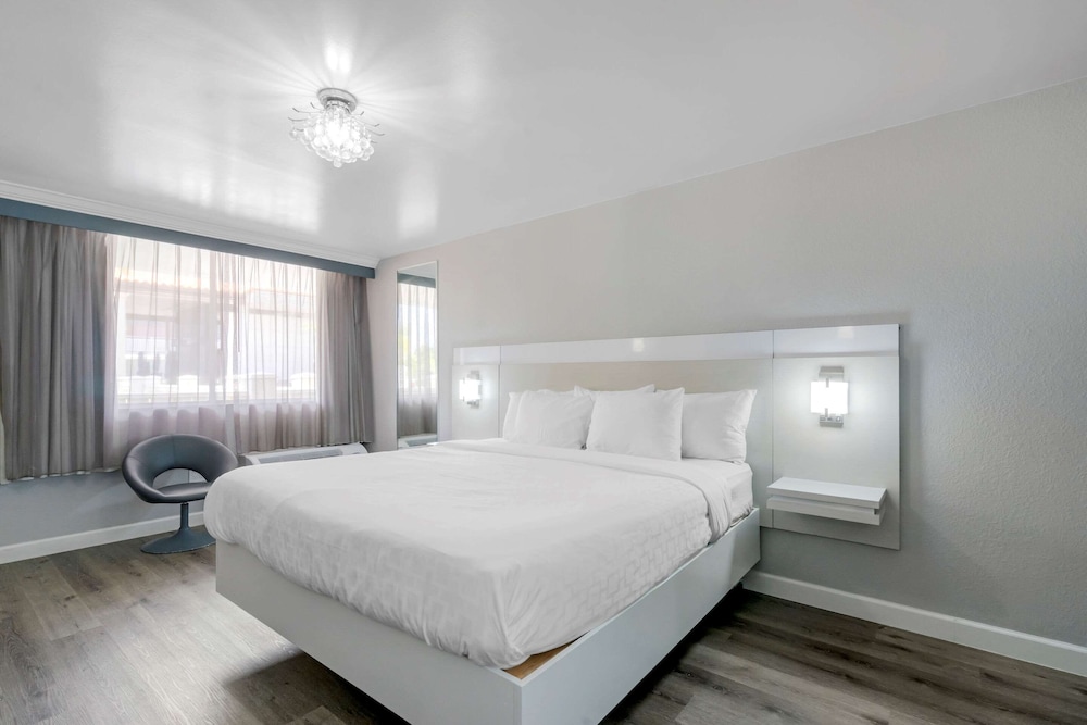 Quality Inn and Conference Center Tampa-Brandon 14/42