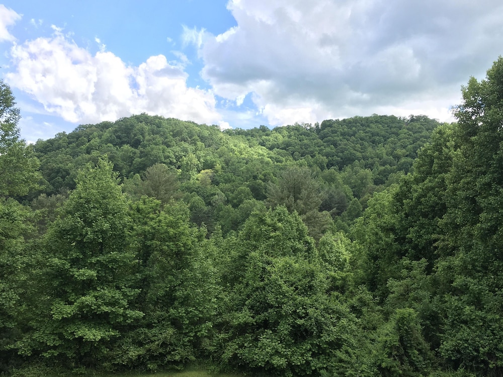 Rodeway Inn & Suites 13/19