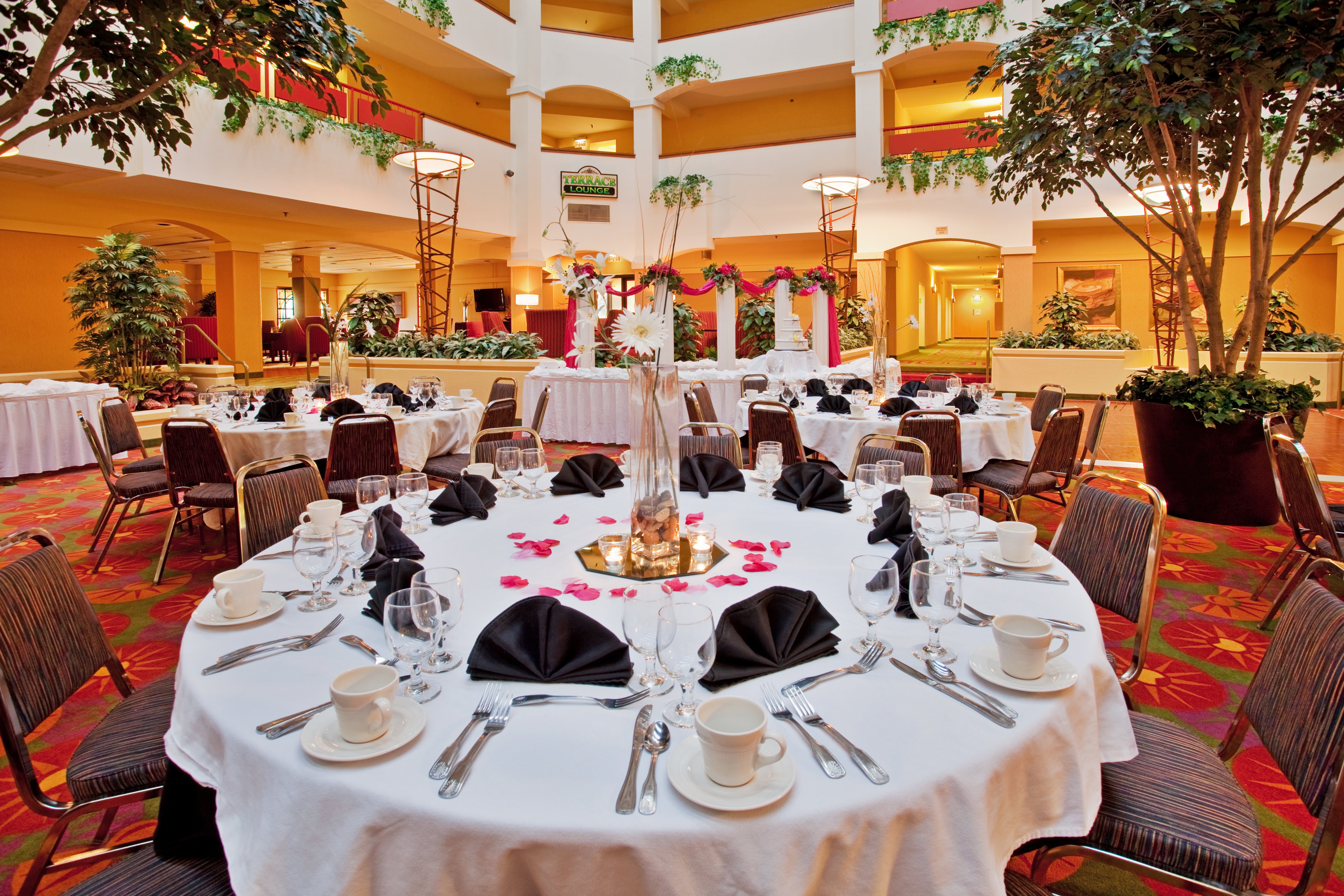 Holiday Inn Hotel And Suites Springfield I 44 55/77