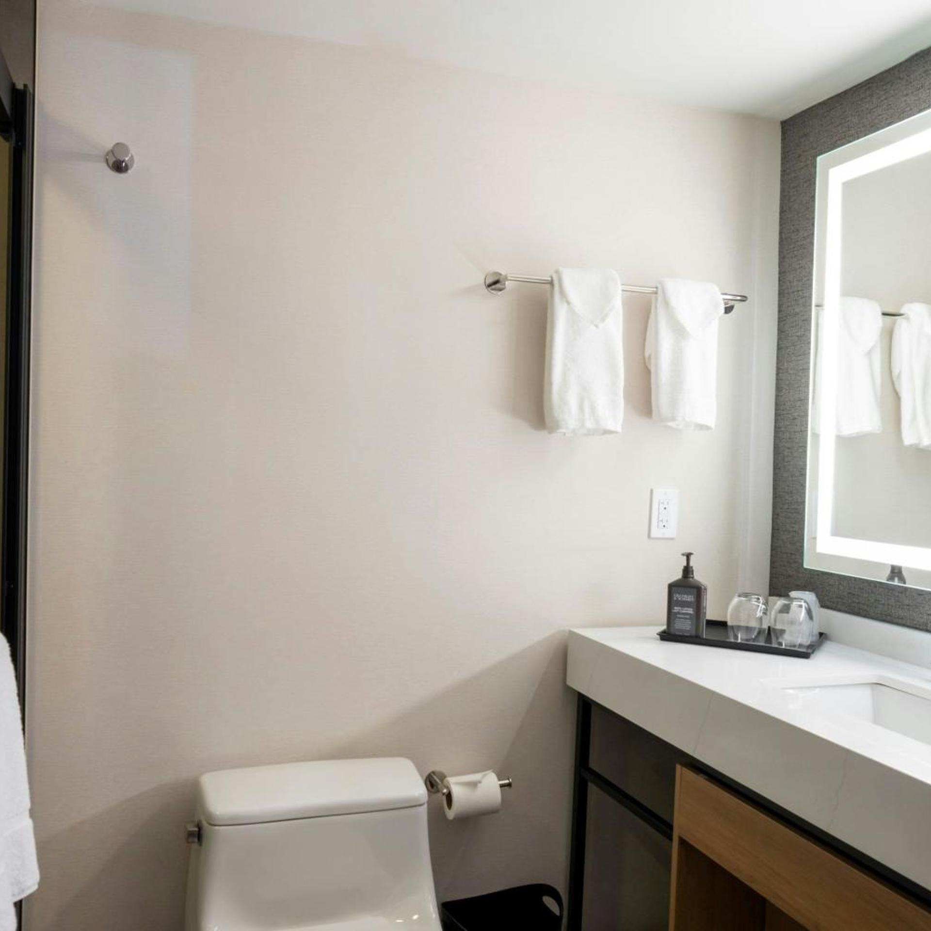 غرفة بسرير كينج، Sheraton Niagara Falls New York 6/16
