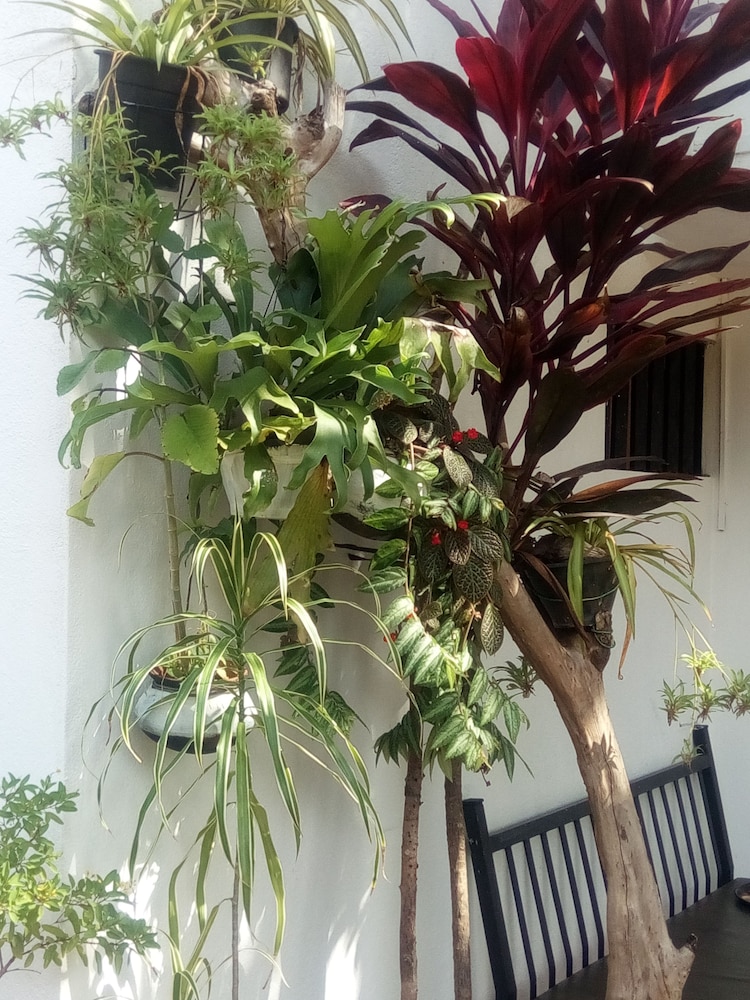 Goalma Holiday Resort 44/50