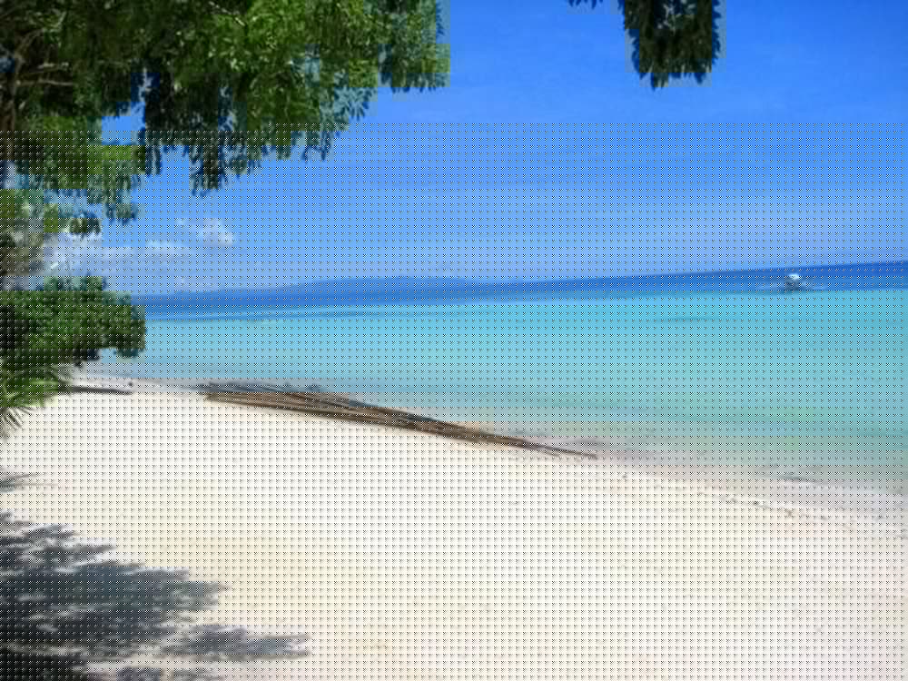 Panglao Grande Resort photo5
