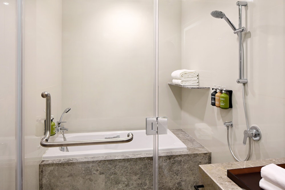 Holiday Inn CEBU CITY 23/69