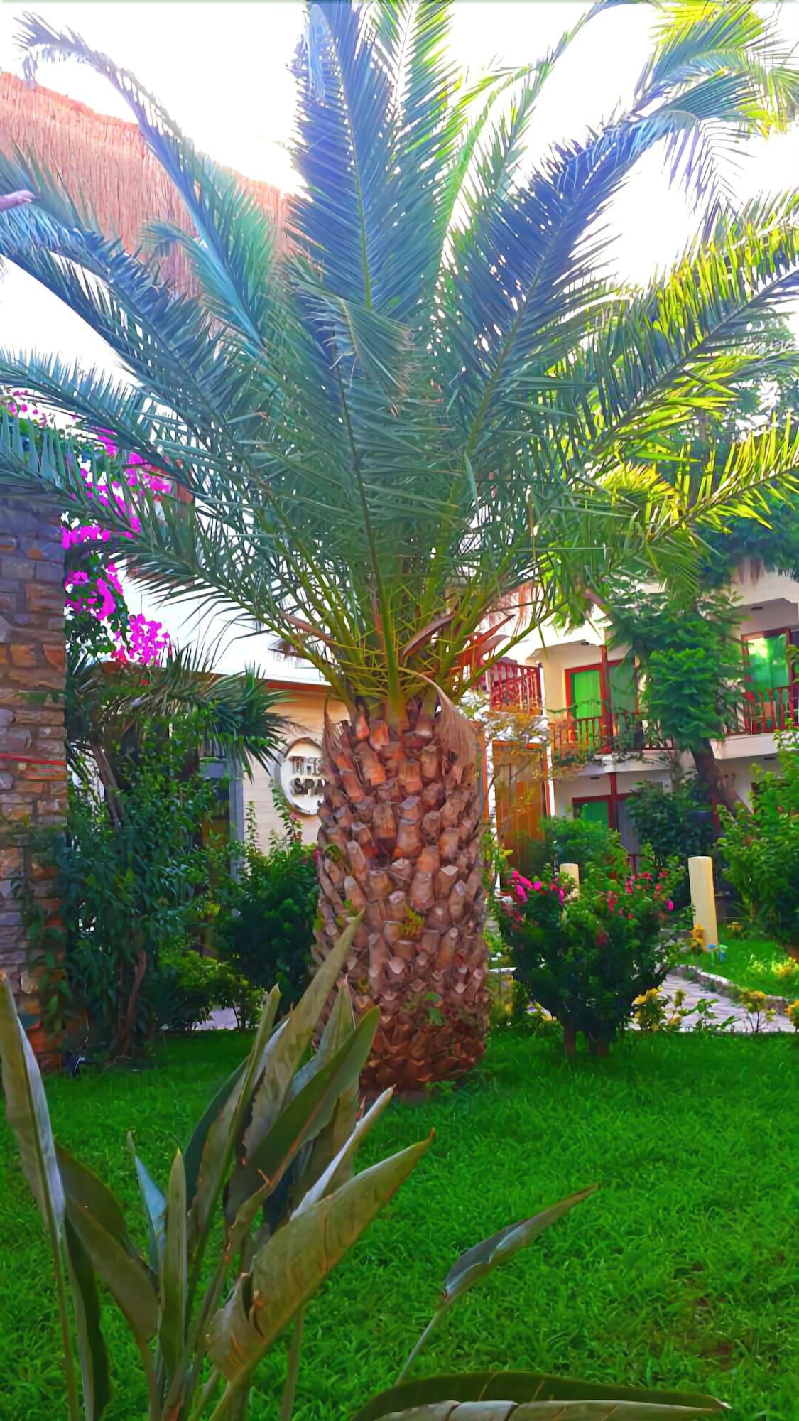 Ekincik Beach Hotel 12/20