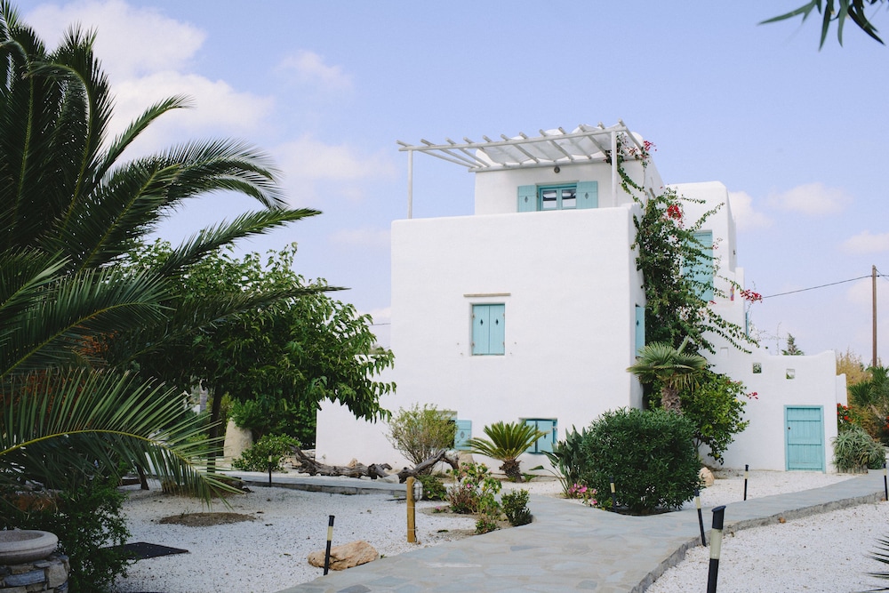 Medusa Beach Resort And Suites 7/69