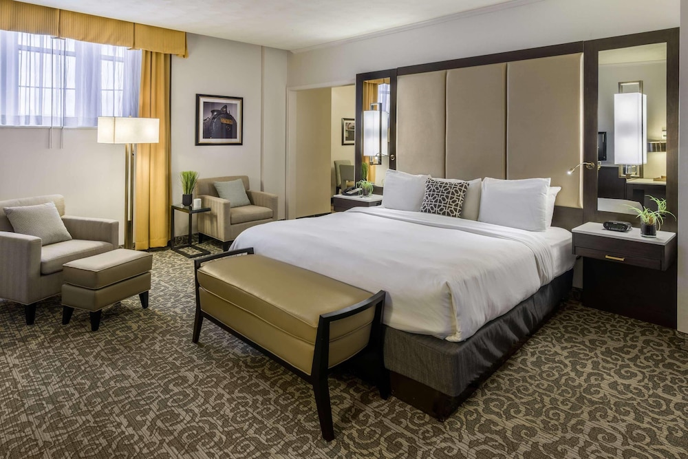 Room, Queen Bed