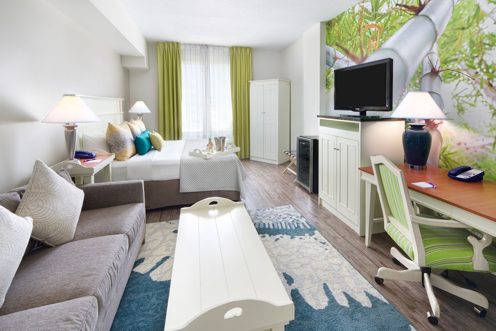 voco Sarasota, an IHG Hotel 44/71
