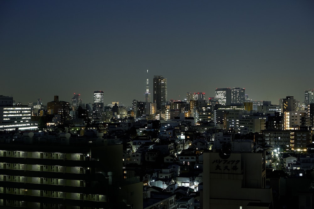 Sotetsu Fresa Inn Higashi Shinjuku 57/60