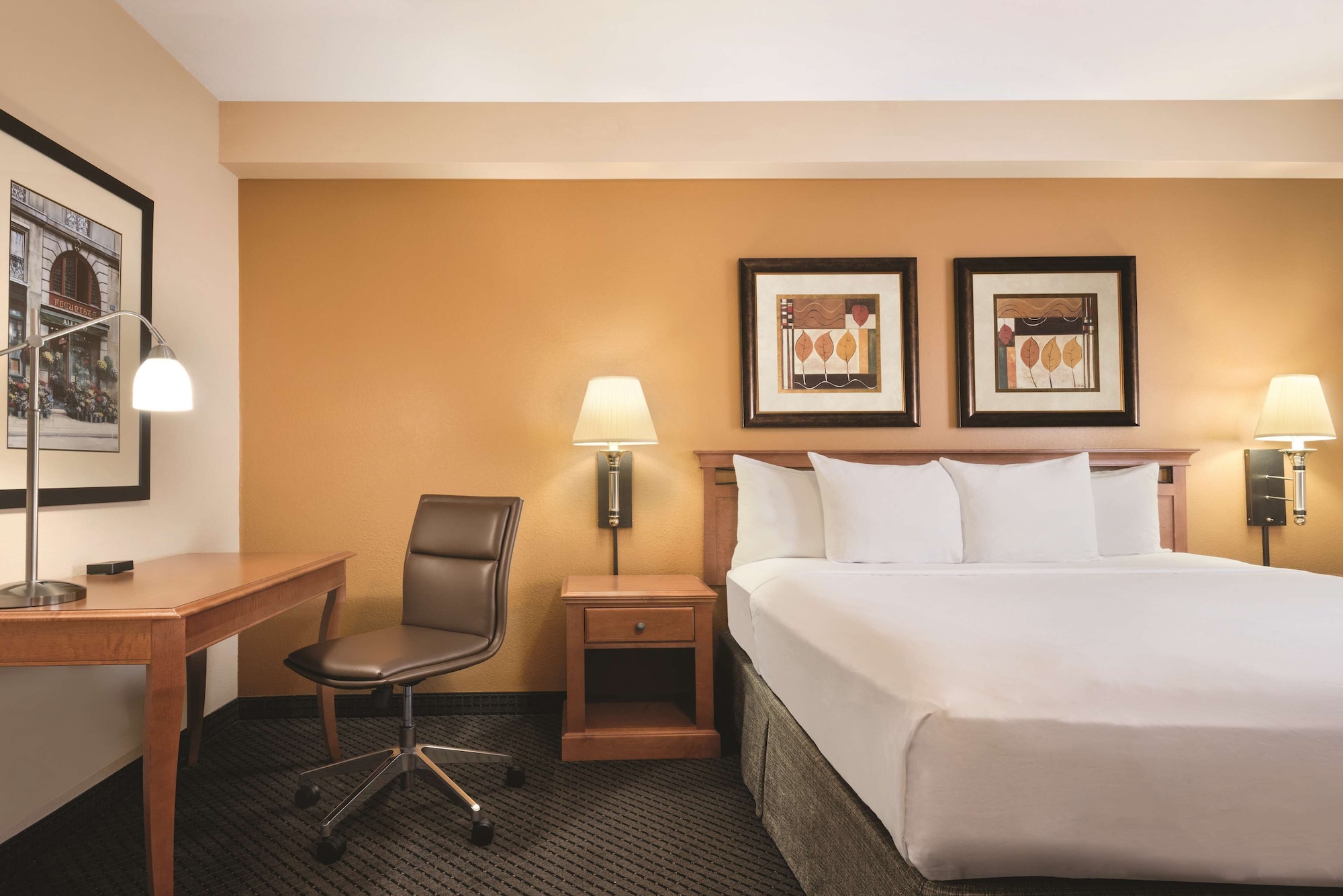 جناح استوديو بسرير كينج مع أريكة، Country Inn & Suites By Radisson, Elk Grove Village/Itasca 5/7