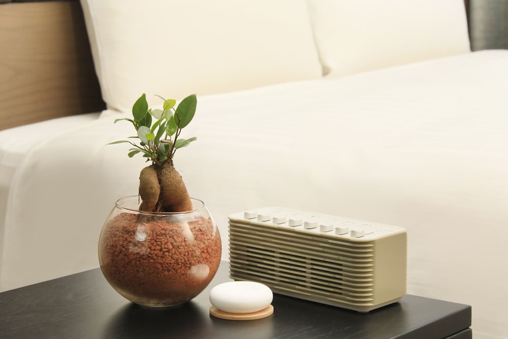 Quintessa Hotel Sapporo Susukino 63 Relax & Spa 30/50