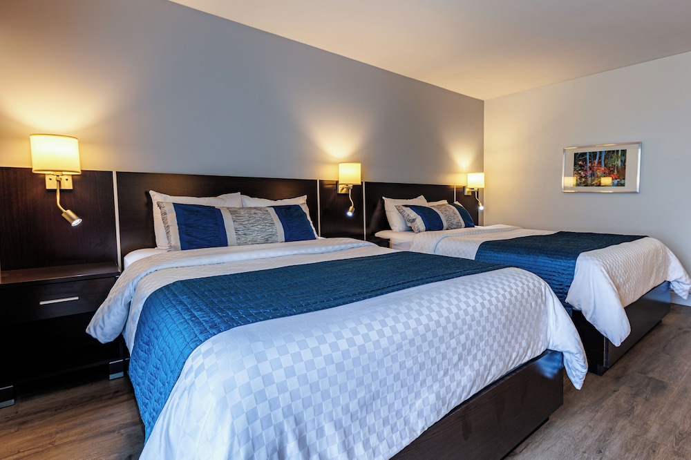 Hotel Motel Castel de la Mer 15/35