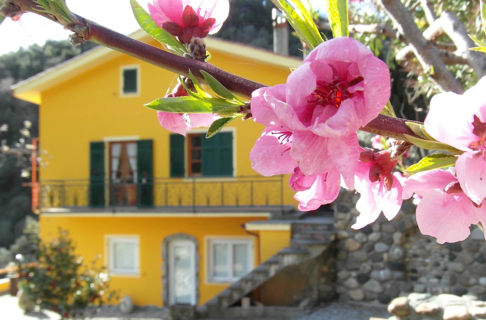 Agriturismo Costa Di Campo 4/44