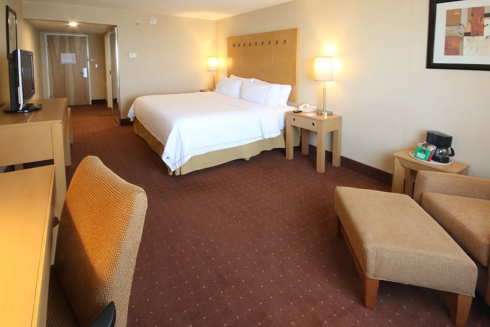 Holiday Inn Express Hotel & Suites Cd. Juarez - Las Misiones 14/76