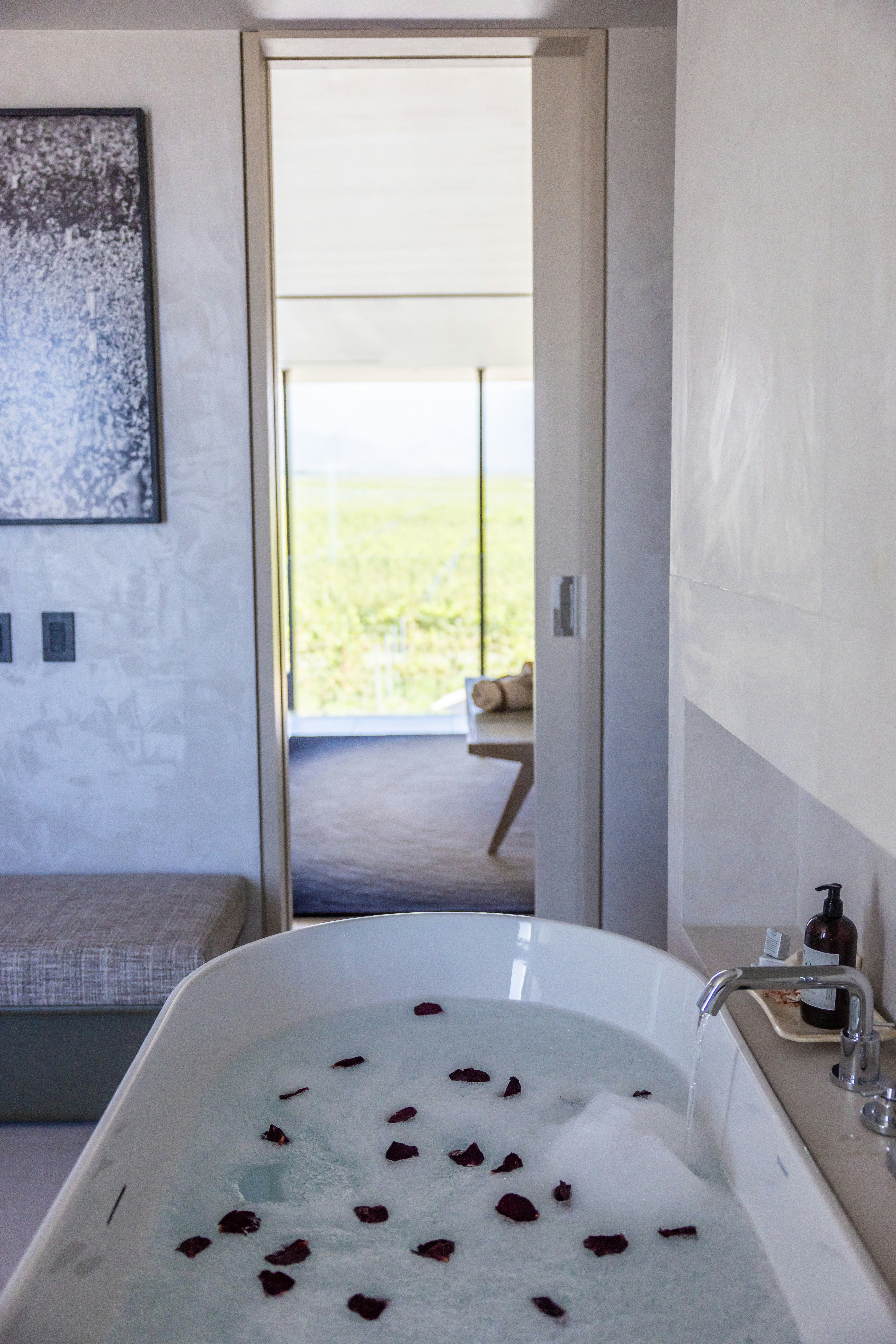 The Vine Resort & Spa 23/50