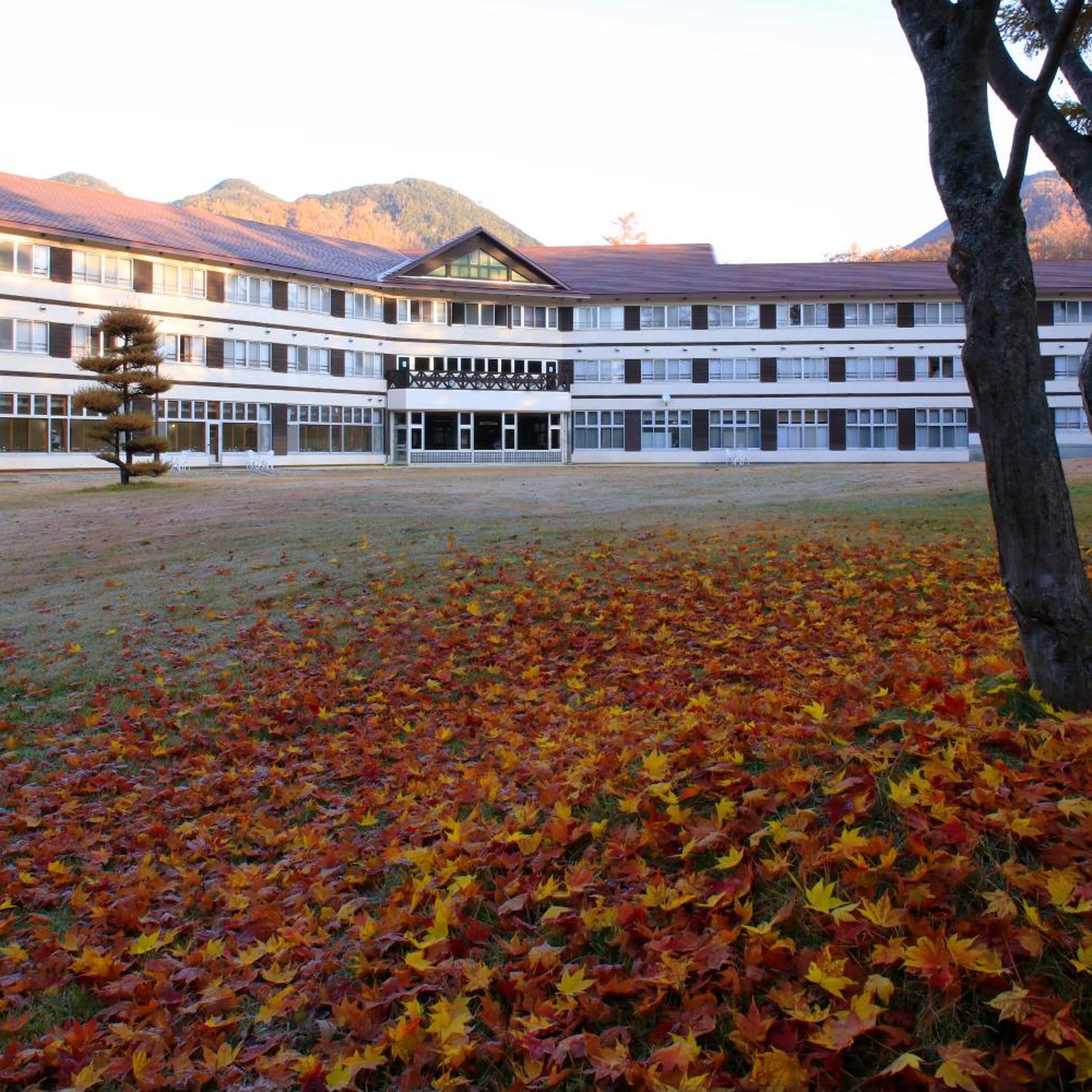 Nikko Astraea Hotel 64/70