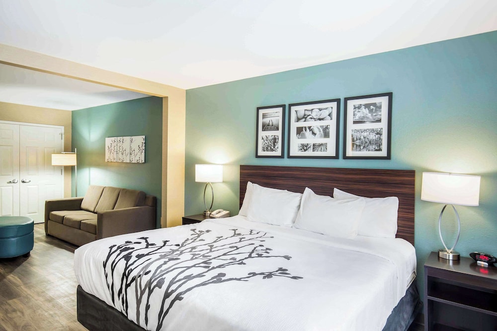 Upgrade, King Bed, Sofa, Accessible