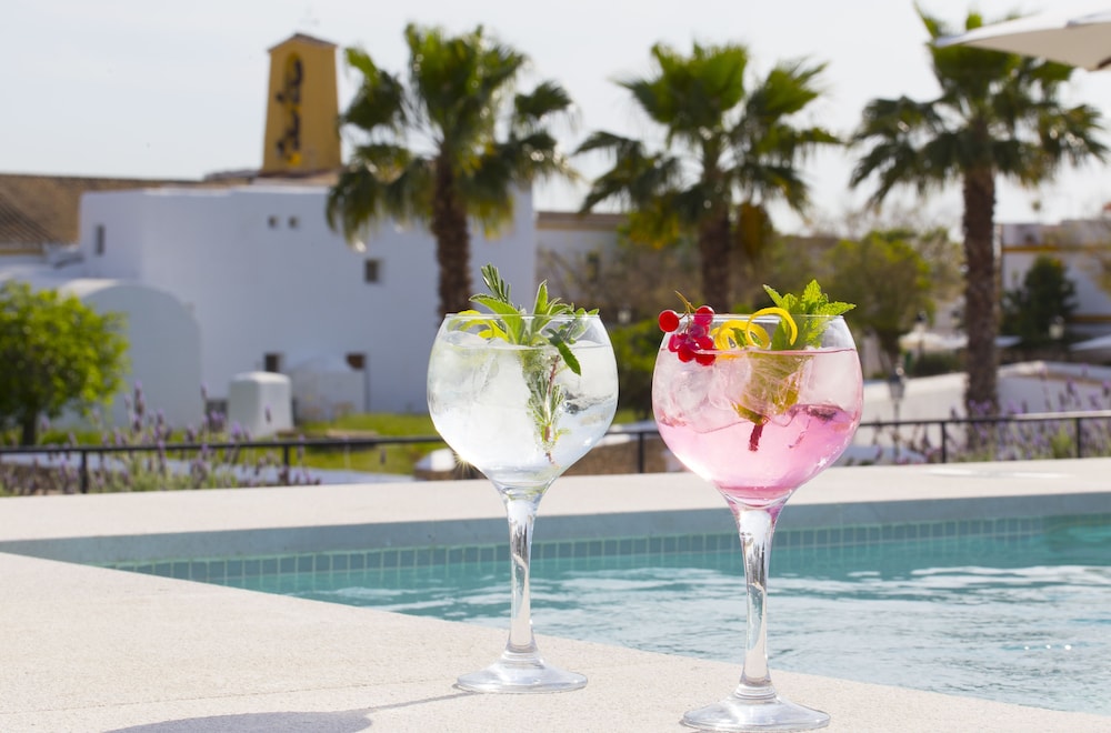 Gatzara Suites Santa Gertrudis photo3