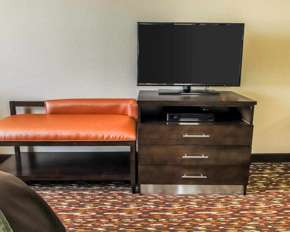 Comfort Inn & Suites Artesia, NM 21/40