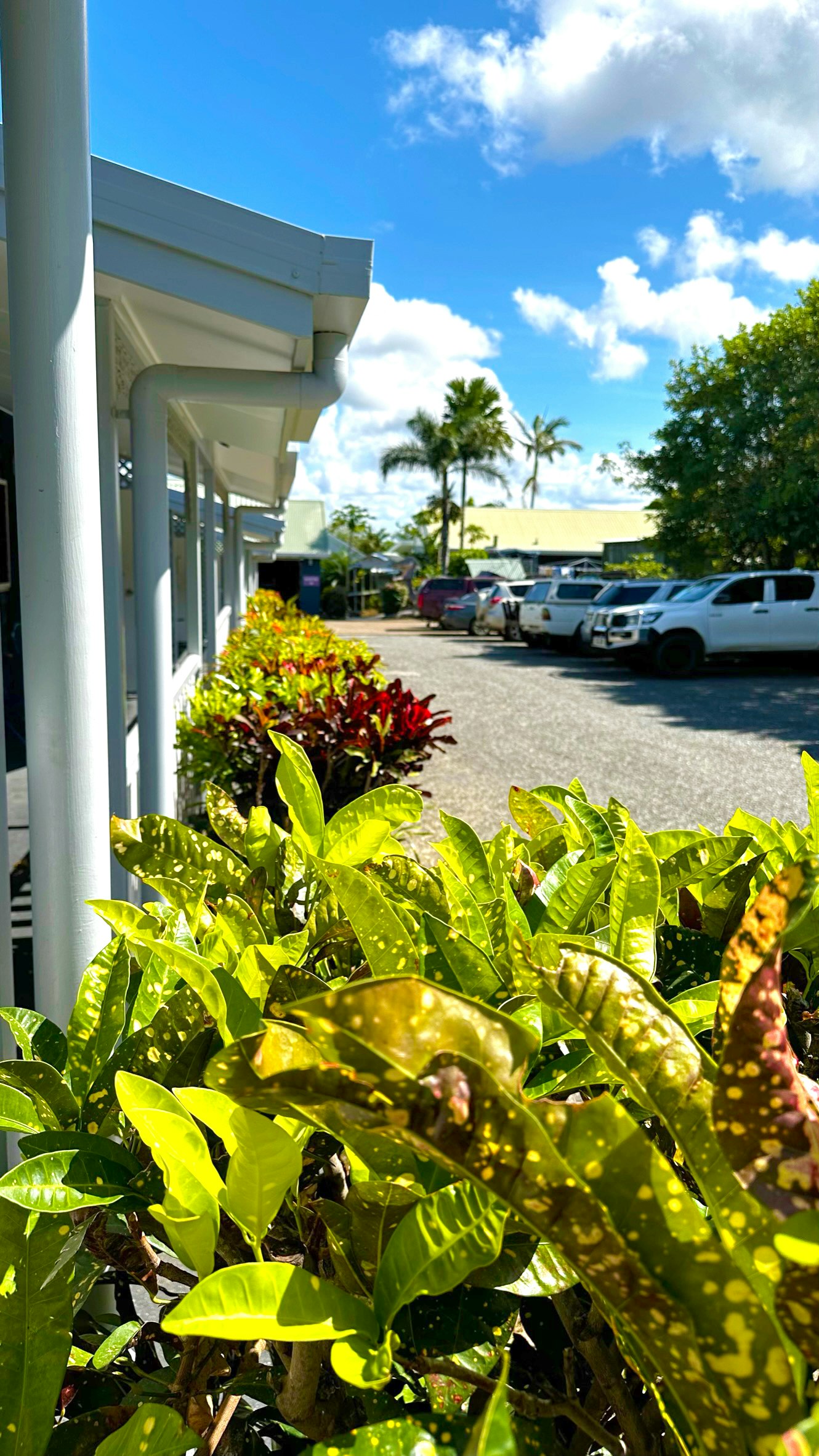 Cooktown Motel 10/13
