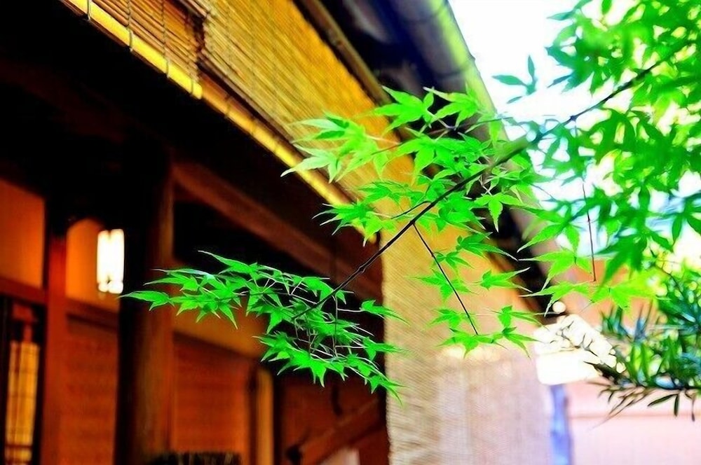 Guesthouse Kingyoya - Hostel 38/42