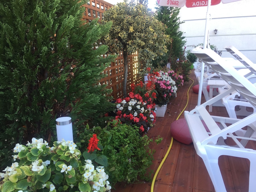 Sunrise Hotel Cameria 46/50