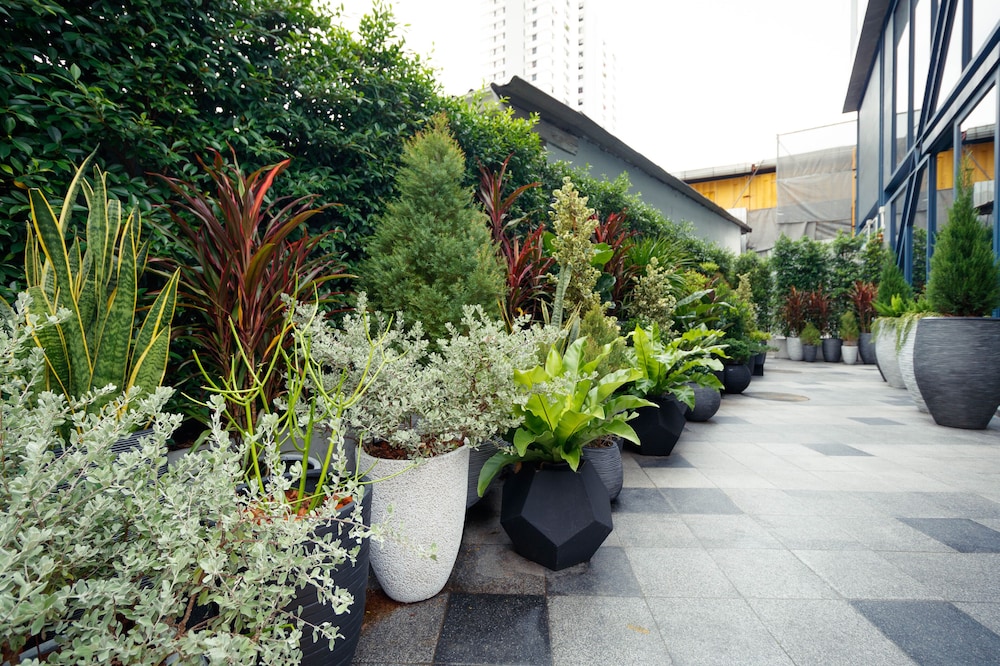 Klub Hotel Bangkok 63/65