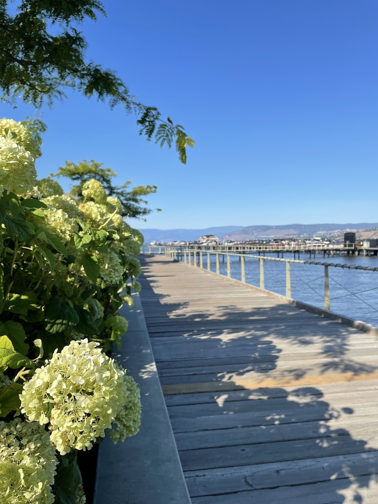 Manteo Resort Waterfront Hotel Villas 64/70