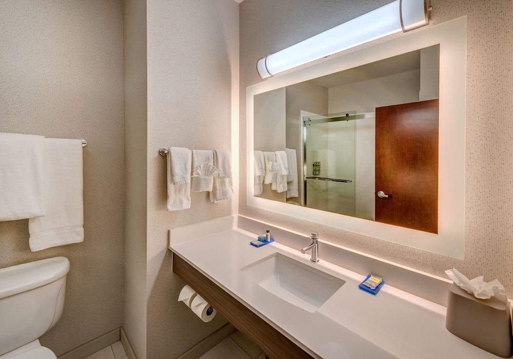 Holiday Inn Express Hotel Suites Reno Airport 18/51