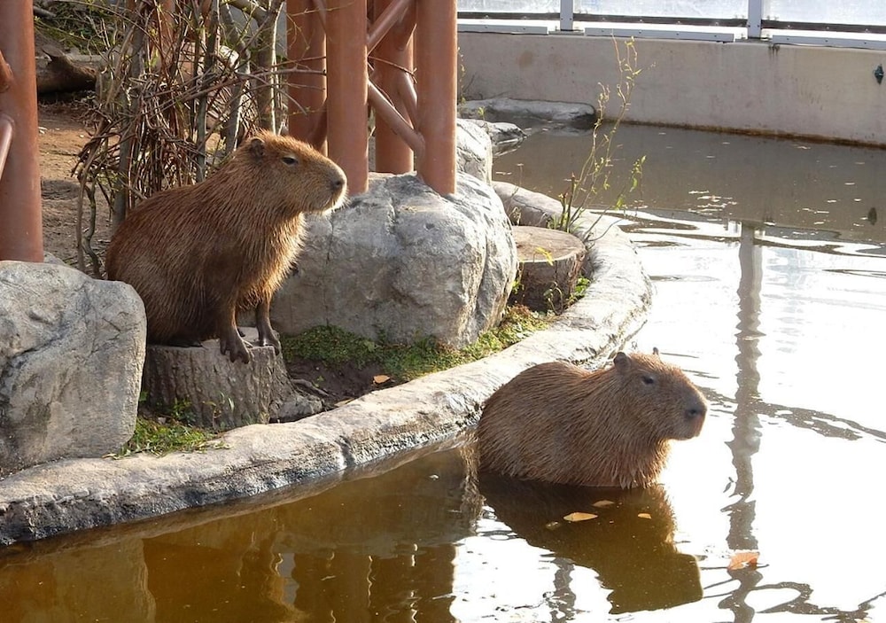 Trend Hotel Asahikawa 21/37