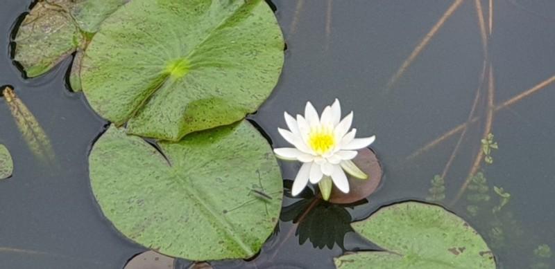 Garden Pension in Tasha, Tongyeong 24/29