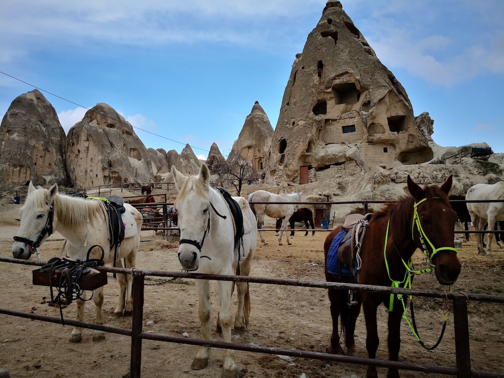 Roc Of Cappadocia 39/49