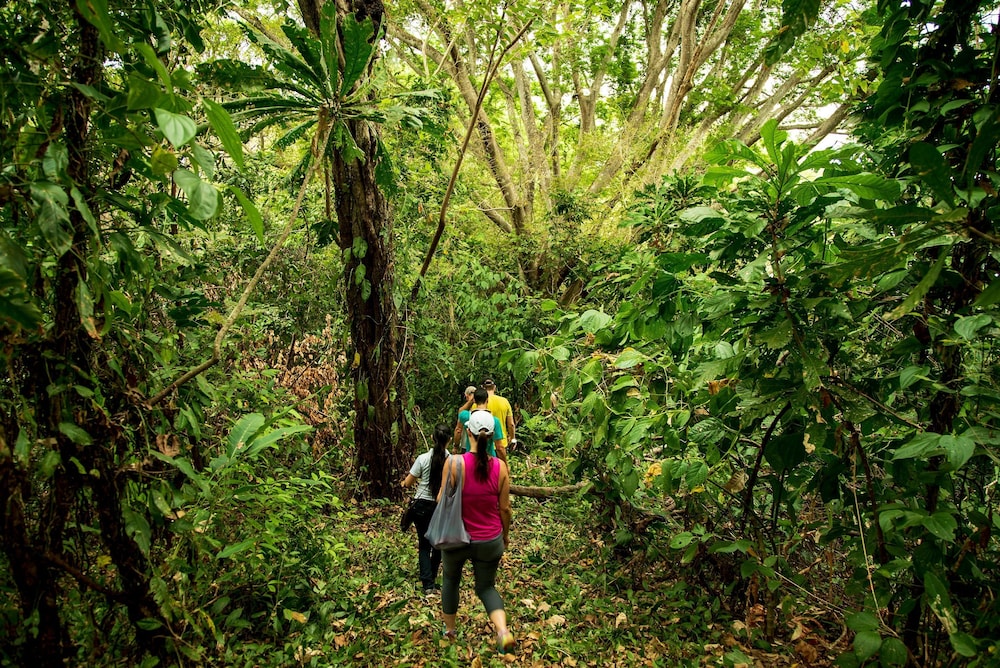 Isla Palenque Member of the Cayuga Collection 27/50