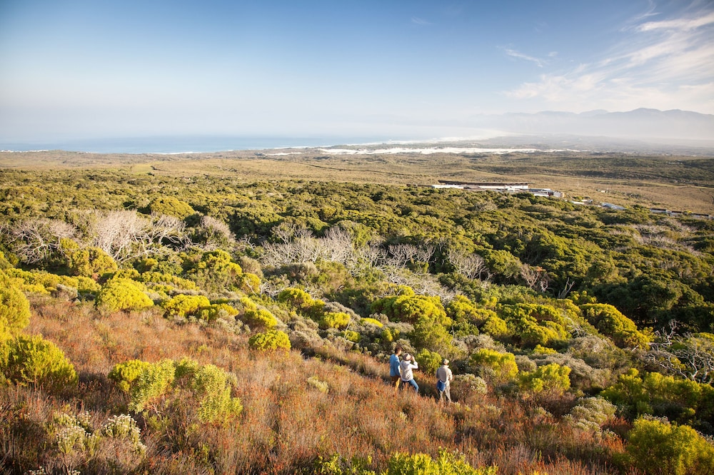 Grootbos Private Nature Reserve 47/57